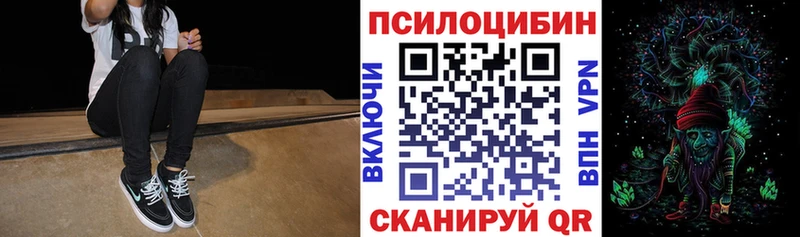 Псилоцибиновые грибы Cubensis  закладки  Михайлов 